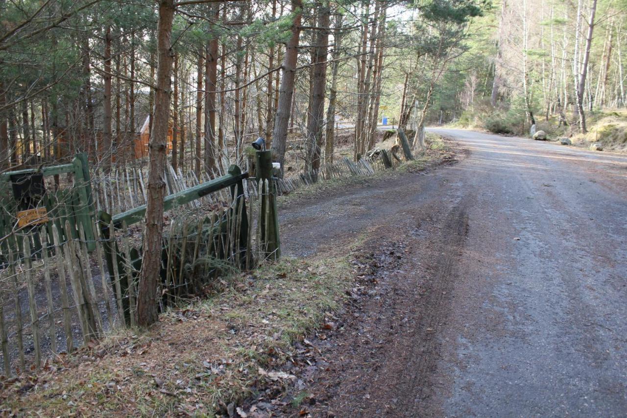 Amazing Cottage With Private Indoor Swim Pool And Hot Tub Grantown-on-Spey Exteriör bild