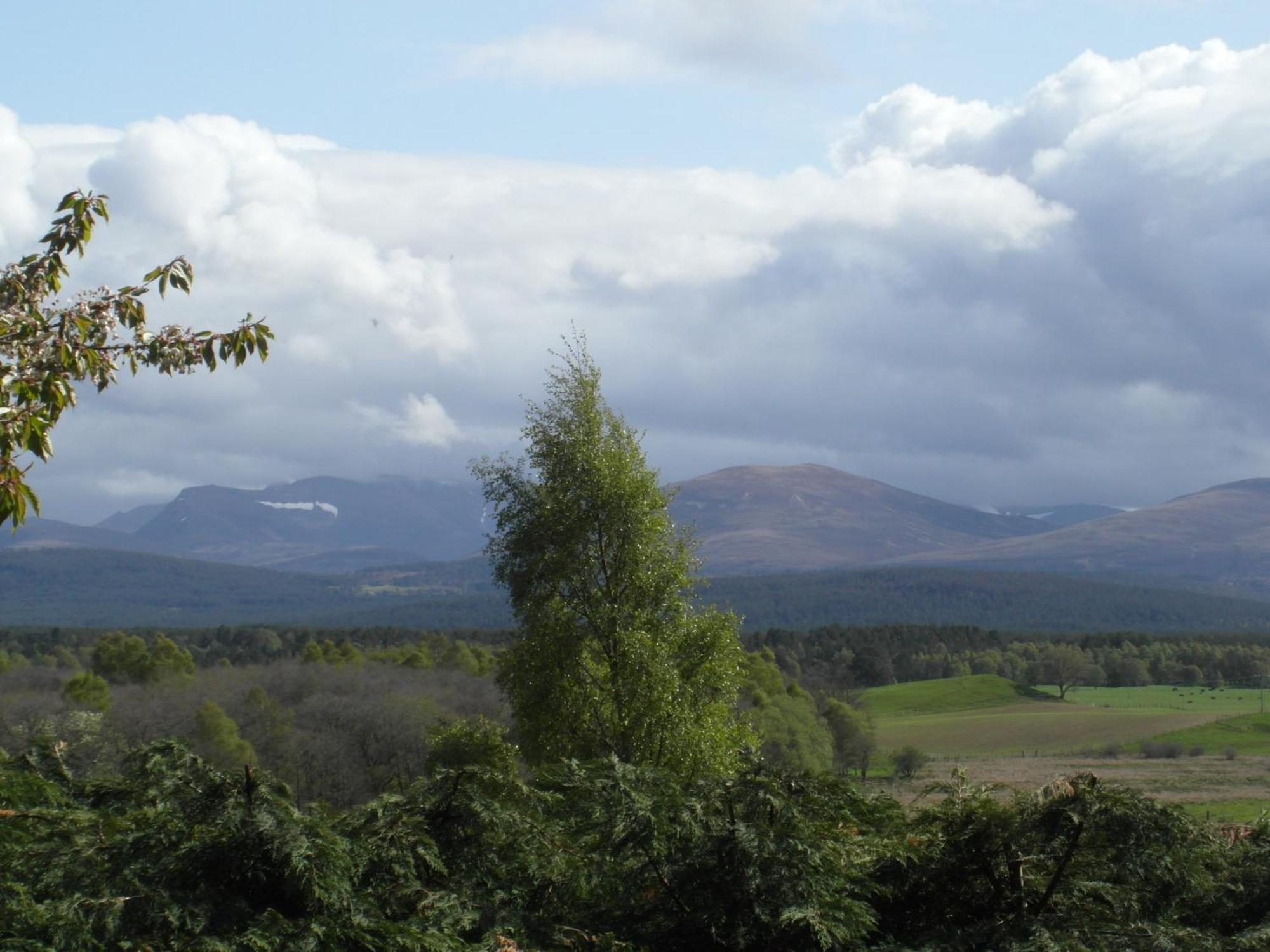Amazing Cottage With Private Indoor Swim Pool And Hot Tub Grantown-on-Spey Exteriör bild